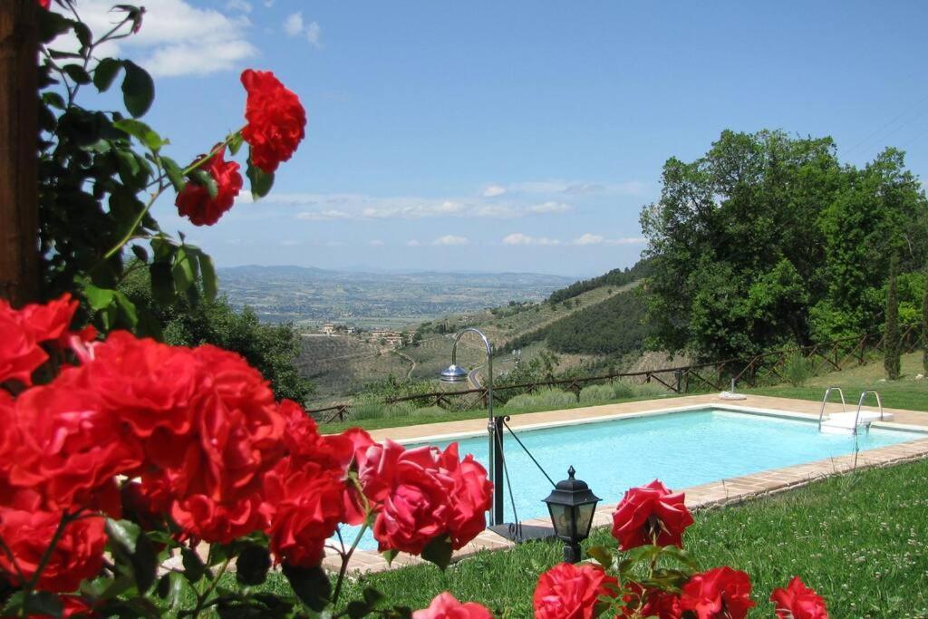 All Stone Horse Stable Converted To Elegant Apartment - Baltimora Spoleto Kültér fotó