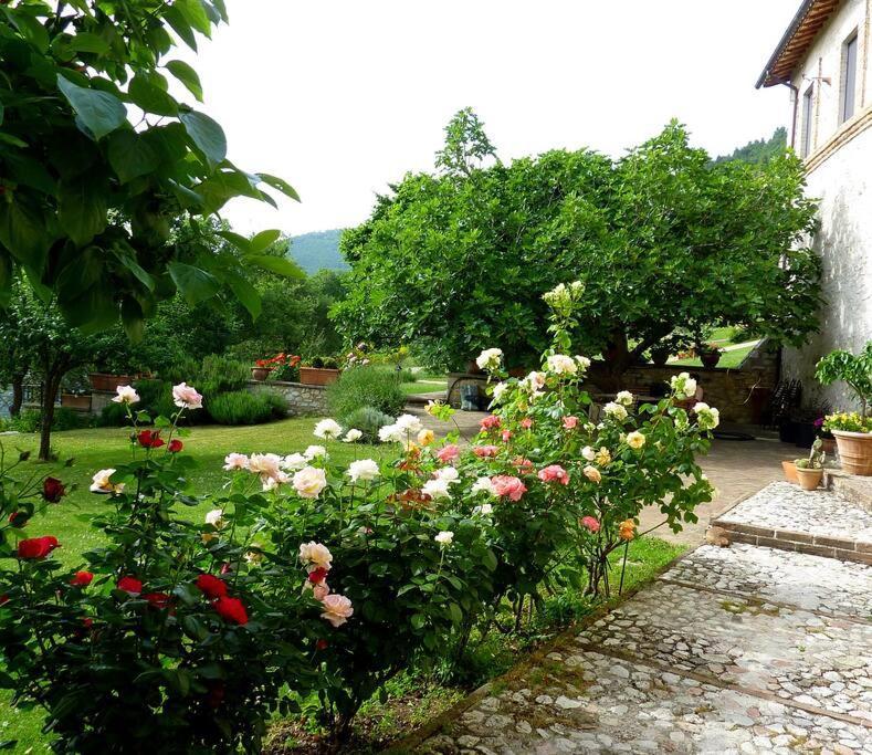 All Stone Horse Stable Converted To Elegant Apartment - Baltimora Spoleto Kültér fotó